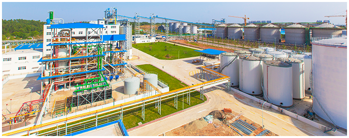 Equipos para cocinar aceite en China